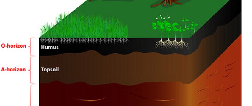 illustration-soil-layers